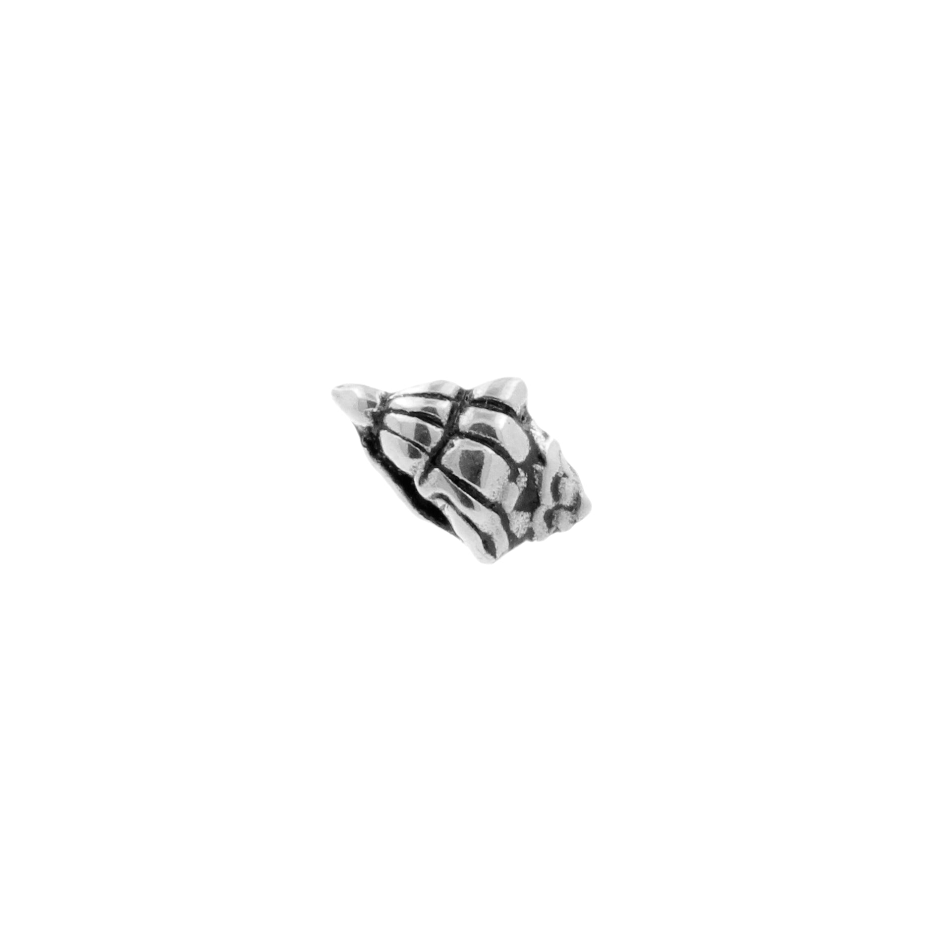 Surgical Steel Sea Shell Top - Silver