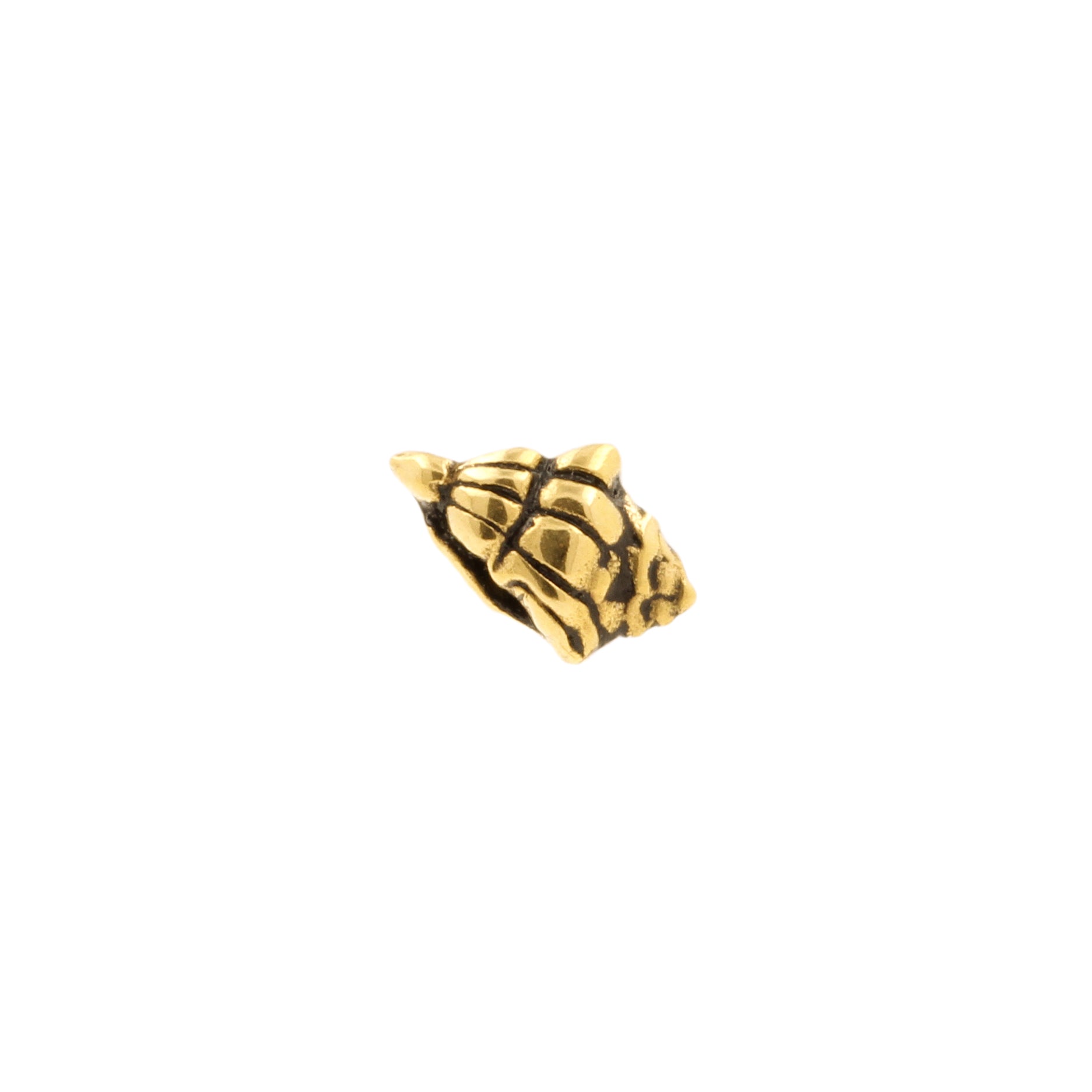Surgical Steel Sea Shell Top - Gold