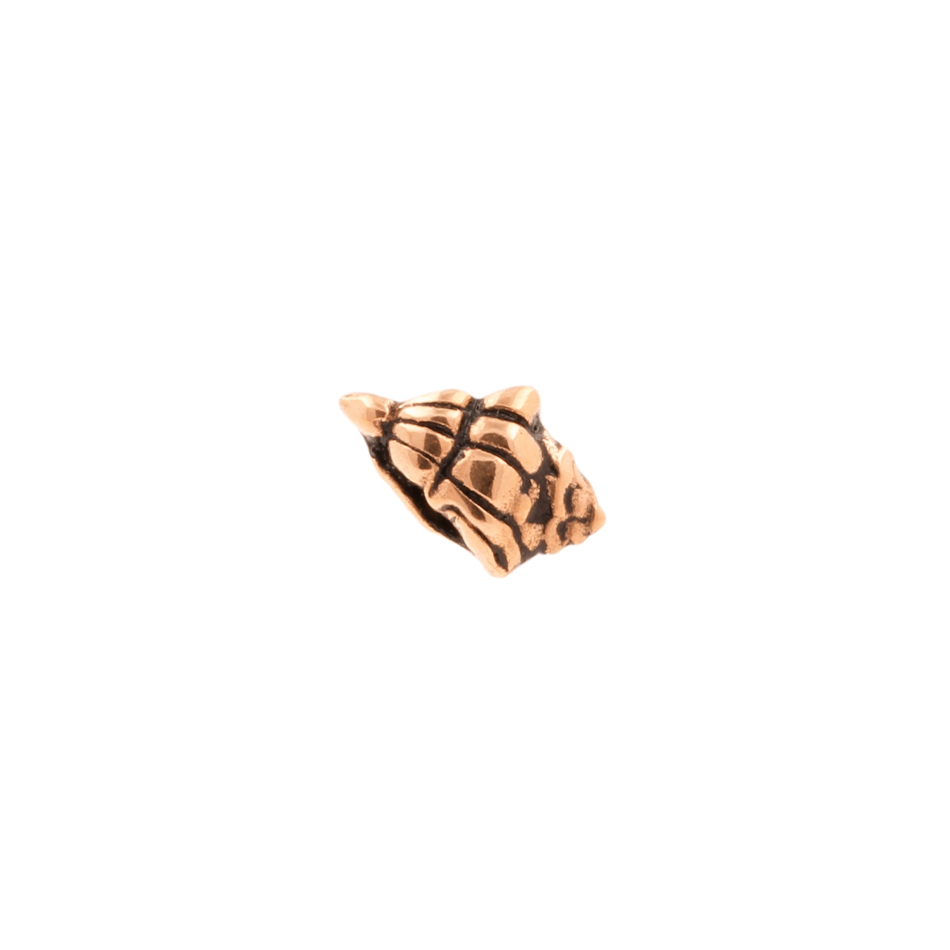 Surgical Steel Sea Shell Top - Rose Gold