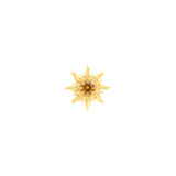 Chirurgischer Stahl Sonnen-Top - Gold