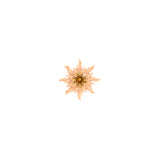 Chirurgischer Stahl Sonnen-Top – Rotgold