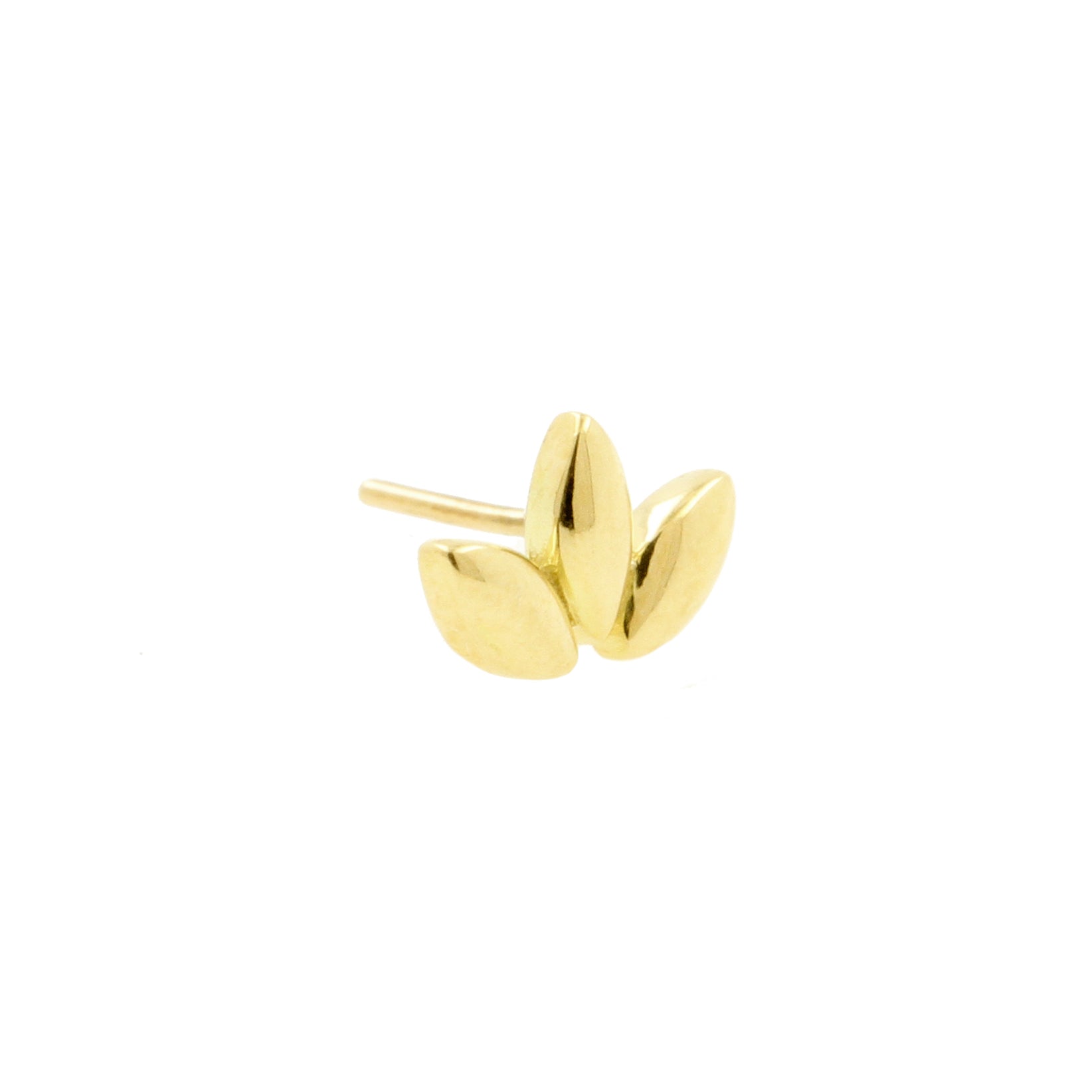 18 Karaats Gouden Waaier