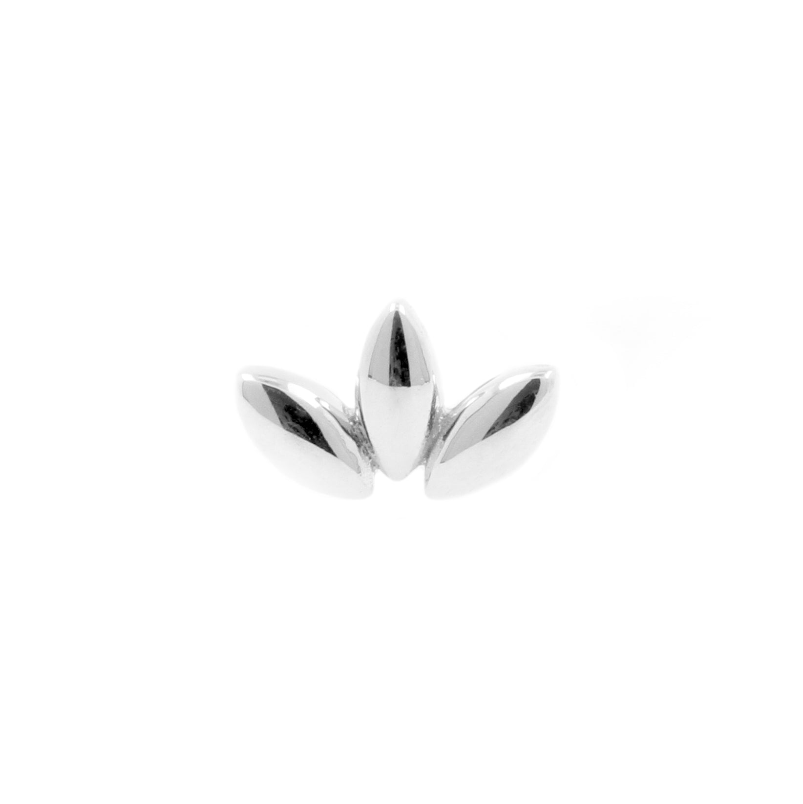 18 Karat White Gold Fan