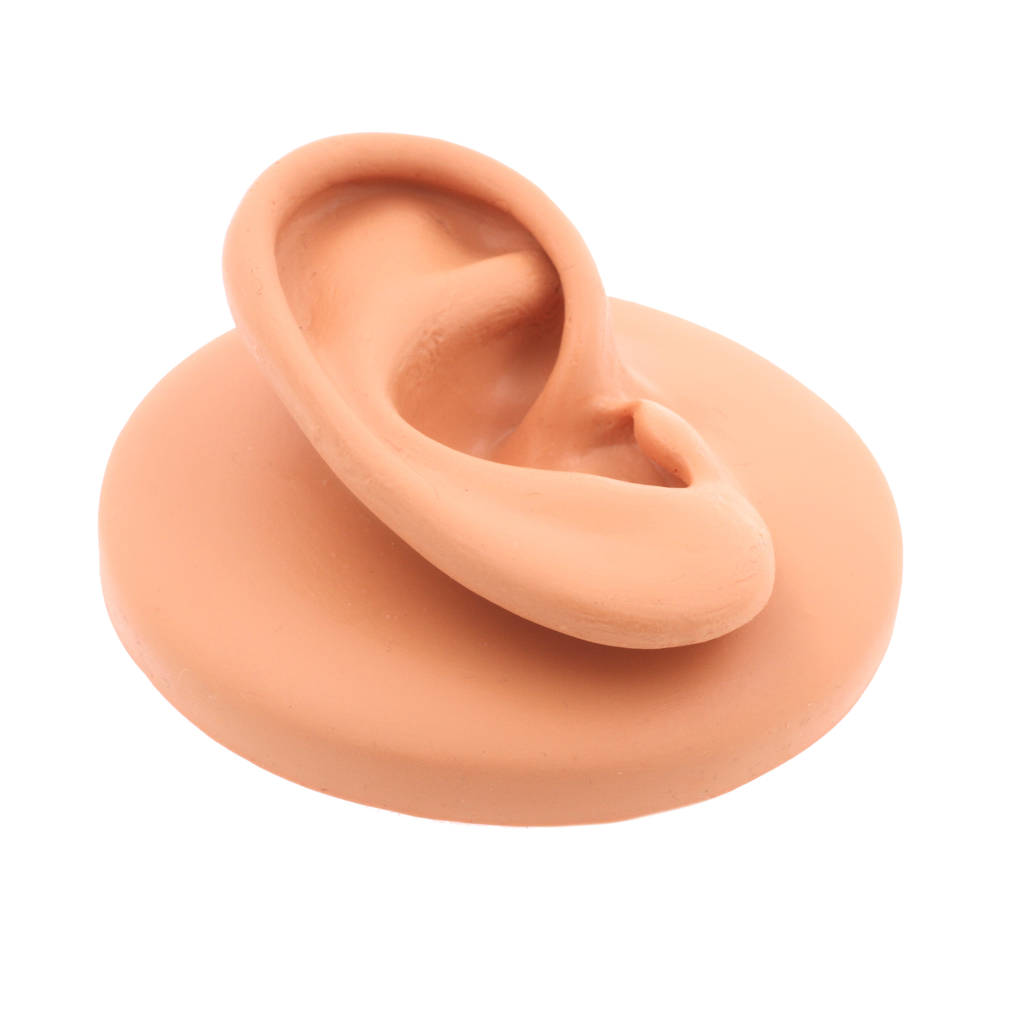 Silicone Display Ear