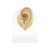 Silicone Silicone And Acrylic Display - Ear L
