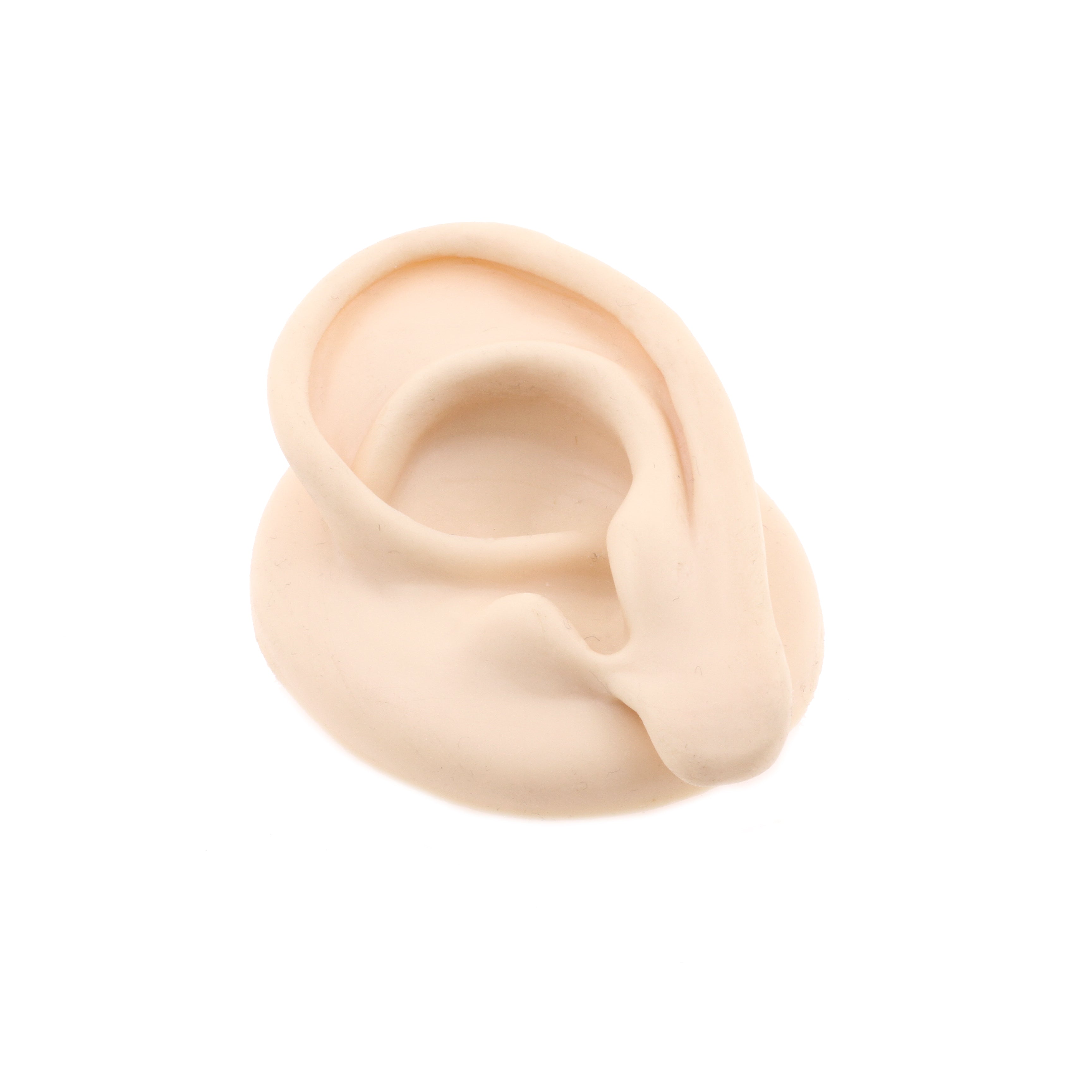 Silicone Silicone And Acrylic Display - Ear L