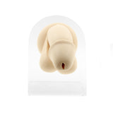 Silicone Silicone And Acrylic Display - Penis