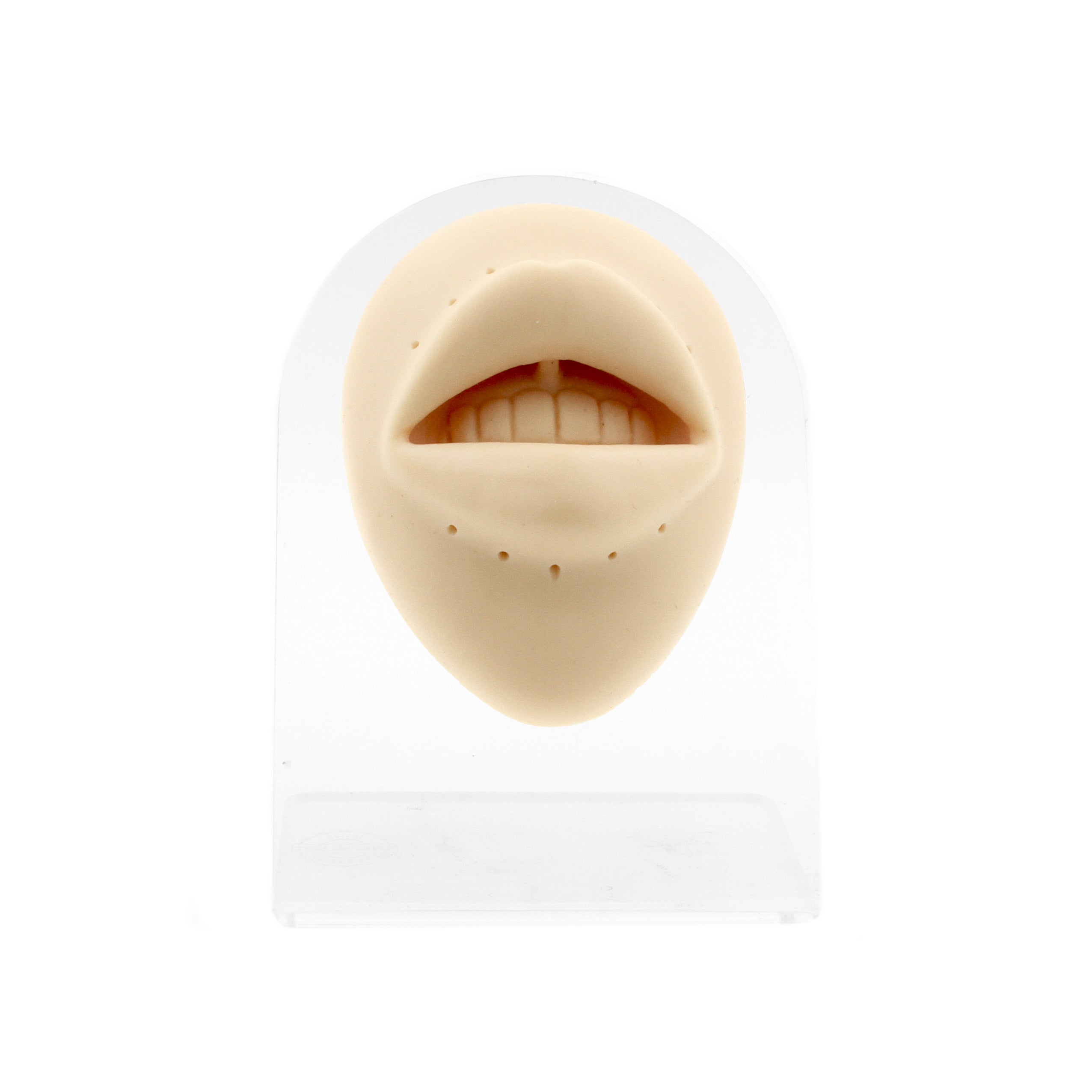 Silicone Silicone And Acrylic Display - Lips