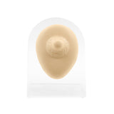 Silicone Silicone And Acrylic Display - Nipple L
