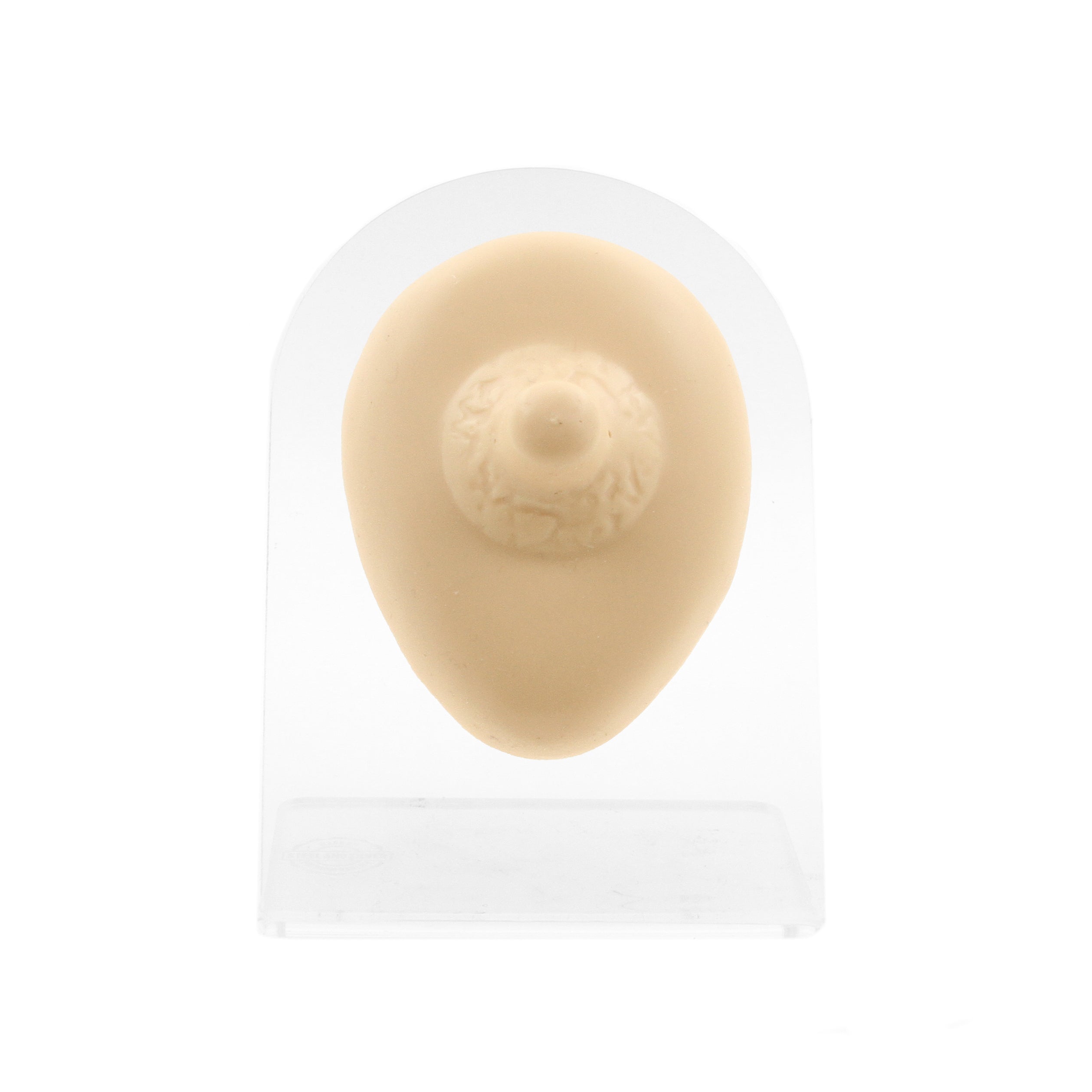 Silicone Silicone And Acrylic Display - Nipple L