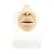 Silicone Silicone And Acrylic Display - Lips And Nose