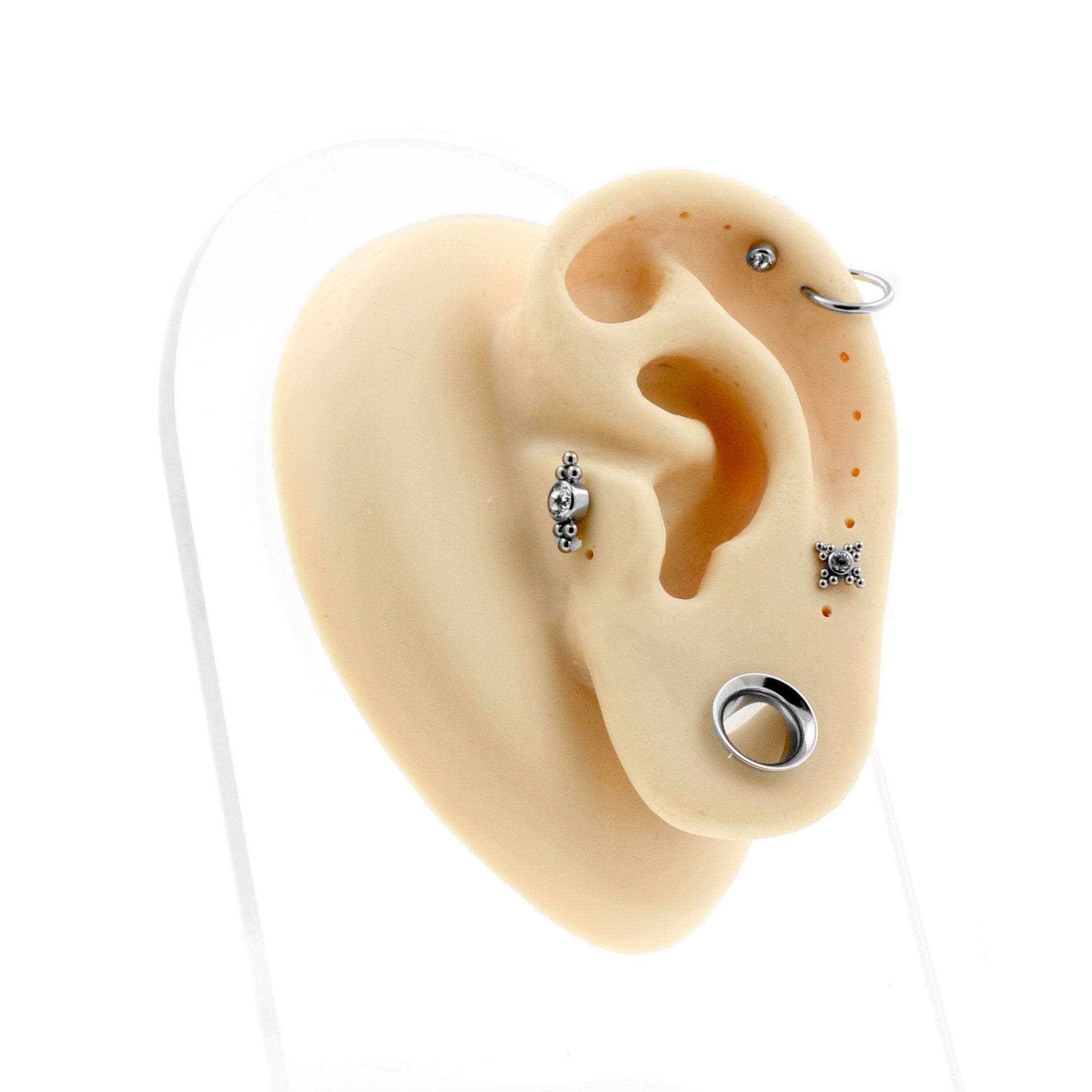 Silicone Silicone And Acrylic Display - Ear Plug Right