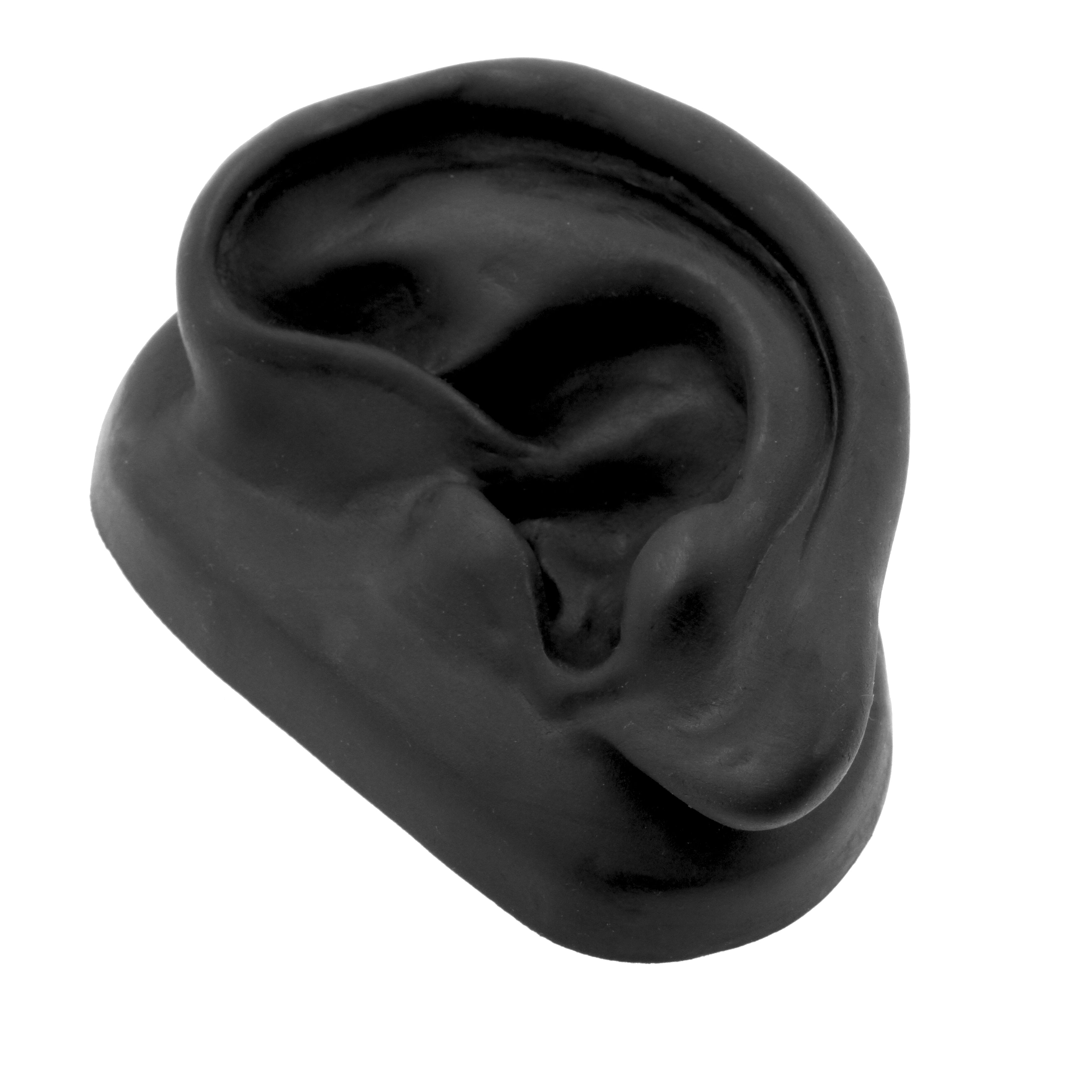 Silicone Silicone And Acrylic Display - Ear