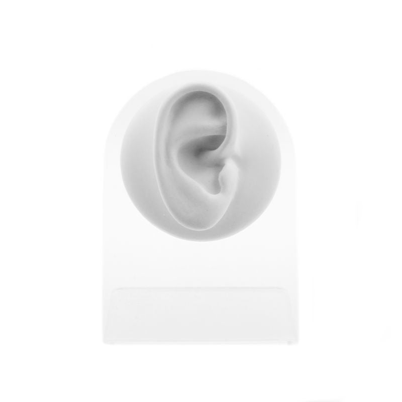 Silicone Silicone En Acryl Display - Oor Rechts Wit