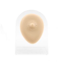 Silicone And Acrylic Display - Nipple S